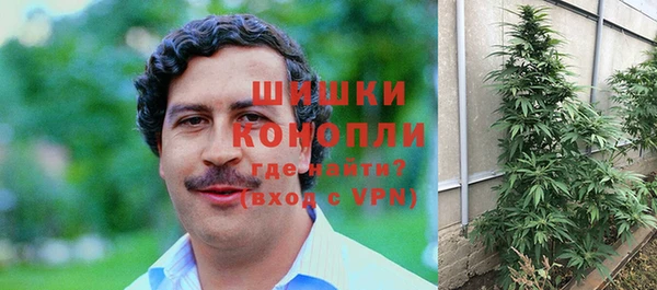 шишки Алзамай