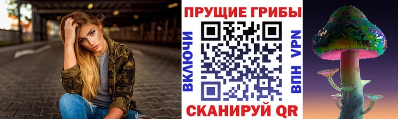 Галлюциногенные грибы Psilocybe  Клин 