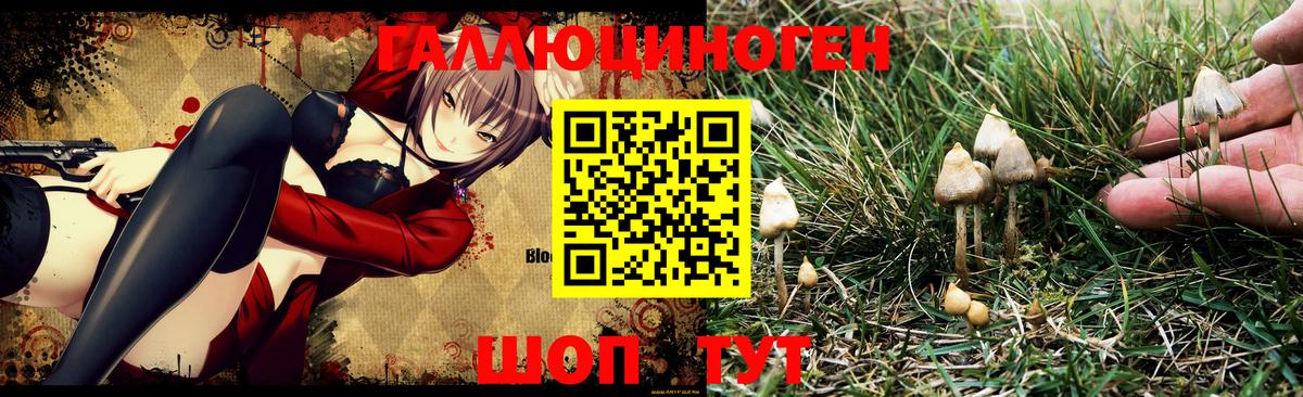 Псилоцибиновые грибы Psilocybine cubensis  Вход с VPN  Клин 
